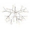 Люстра Heracleum D72 серебряный 