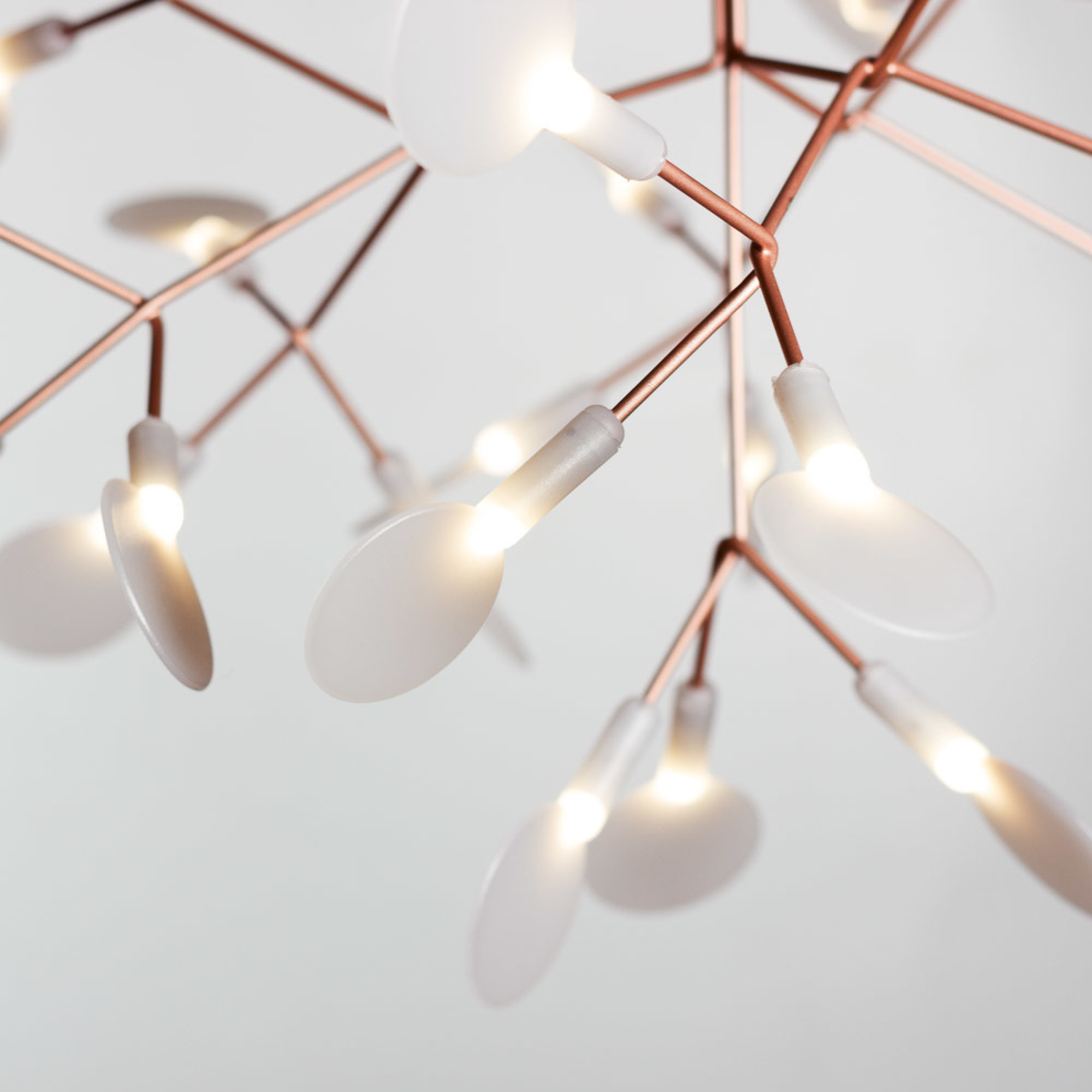 Люстра лепестки. Люстра Heracleum d50. Люстра Moooi Heracleum 2 small d72 by Bertjan Pot. Люстра Heracleum 2 small d50. Люстра Moooi Heracleum small.