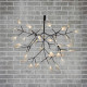 Люстра Heracleum Black DE12026