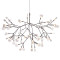 Люстра Heracleum Brown